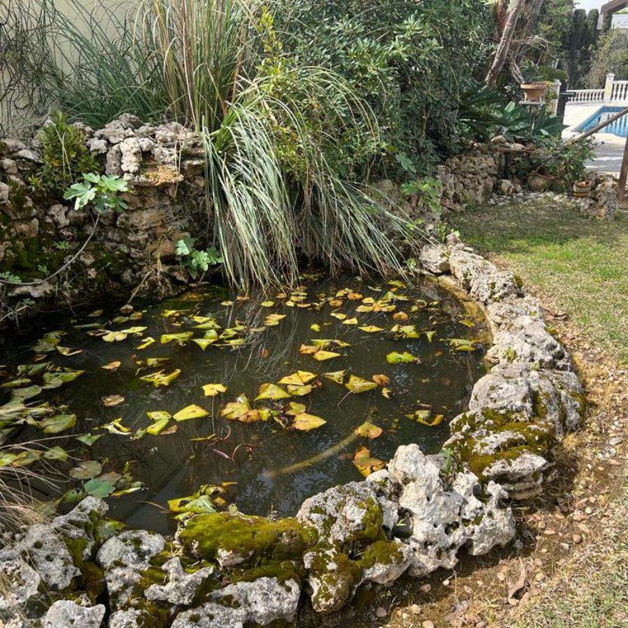 Beautiful 2 Steps From The Villa